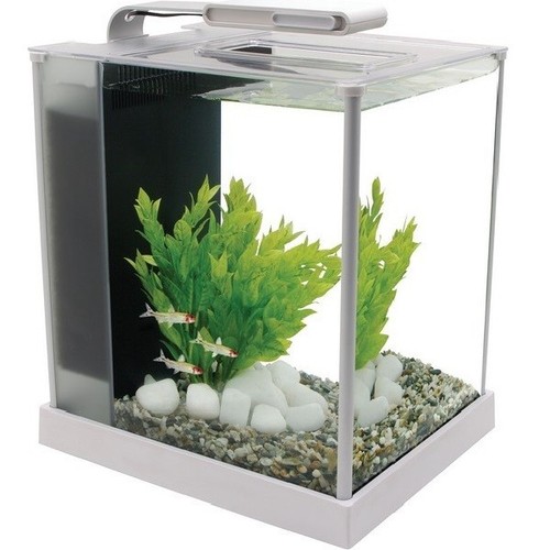 Fluval spec aquarium - 10l, or