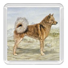Finnish Spitz Dog Acrylic