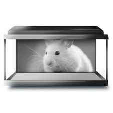 Fish Tank Background 90x45cm