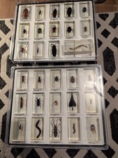 National Geographic Real Bugs