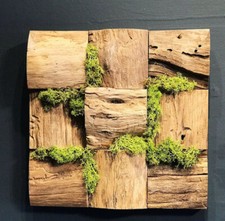Teak Root Wooden Moss Art Square - Moss Wall Art