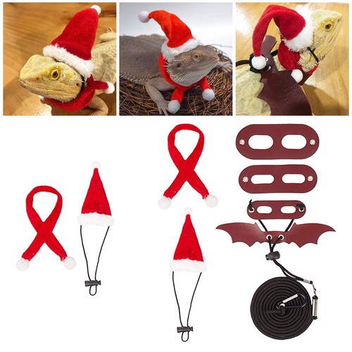 Bearded dragon santa hat - dragon, and
