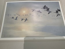 Peter Scott Limited Edition Mounted Print