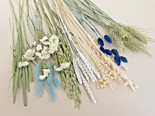Dried flowers natural blues - dried,