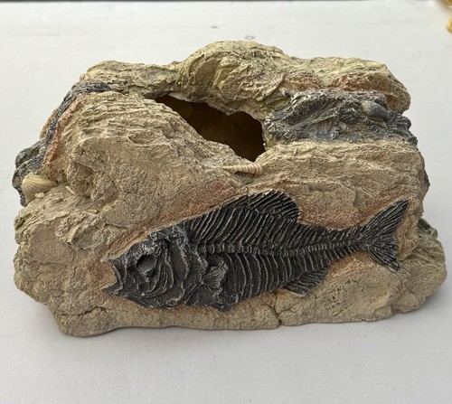 Betta fossil rock large - rock,