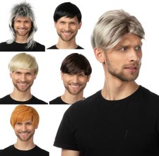 MENS FANCY DRESS WIG SHORT