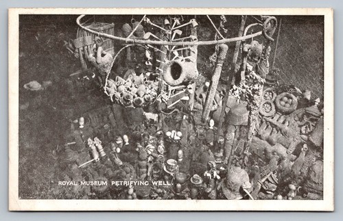 Postcard royal museum - -,