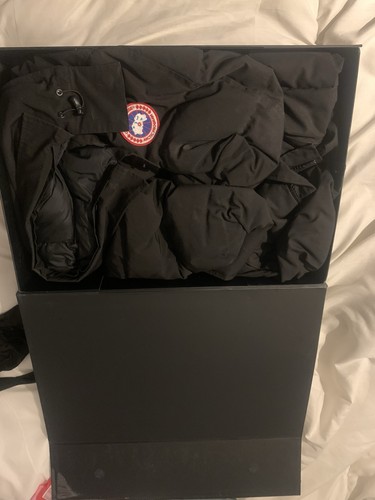 Canada goose arctic program - goose,
