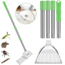 Spider Catcher Crane Fly