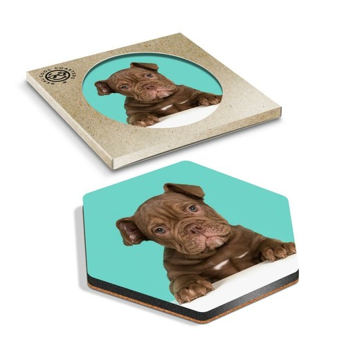 Hexagon coaster cute - x,