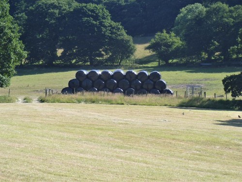 Photo plastic wrapped bales - a3,
