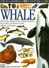 Whale : : Discover the Amazing