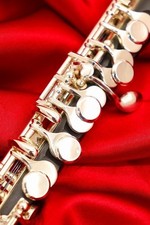 Pearl PFP-105E [New] [Piccolo]