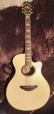 YAMAHA APX1000