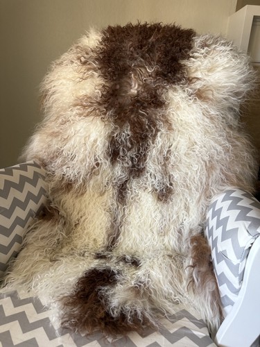 Genuine mongolia curly wool - mongolia,