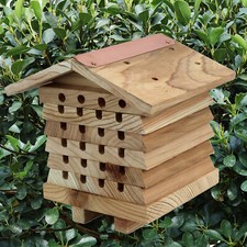Solitary bee hive keeping - solitary,