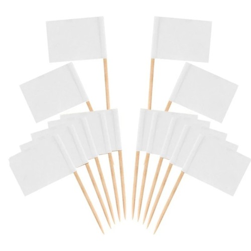 100 pieces blank - blank, toothpick