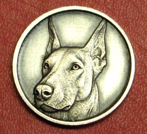 Hobo nickel doberman pinscher - doberman,