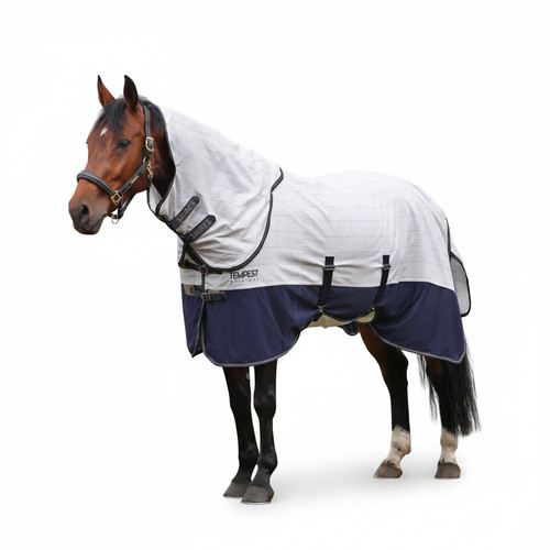 Shires tempest original summer - tempest,