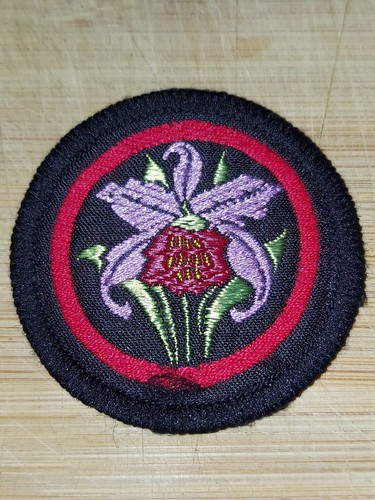 Girlguiding girl guides - girlguiding,