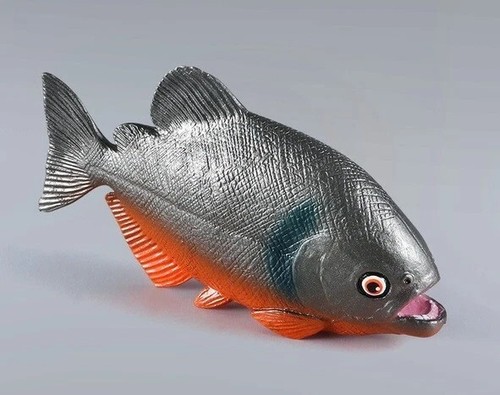 Piranha fish sea animal - piranha,