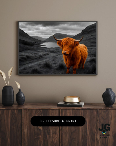 Highland cow picture wall - highland,