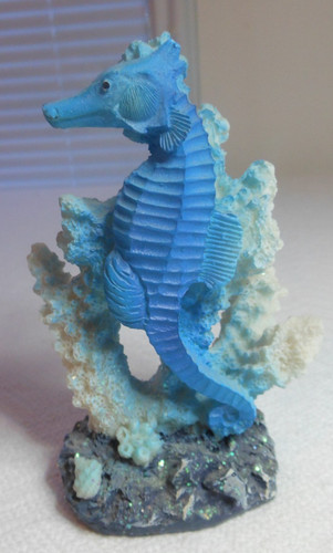 Coral stand display with - coral,