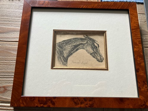 Horse portrait etching - horse,