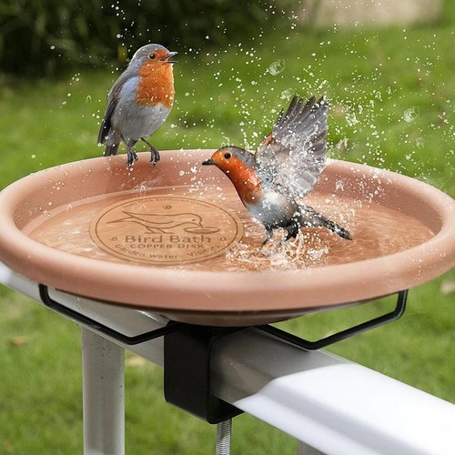 Bird bath copper disk - bird,