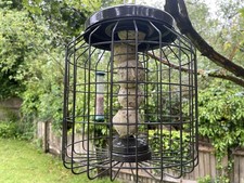 Squirrel Proof Hanging Bird