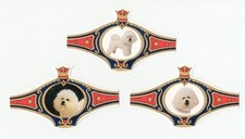 BICHON FRISE COLLECTION OF