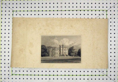 Original old antique print - old,