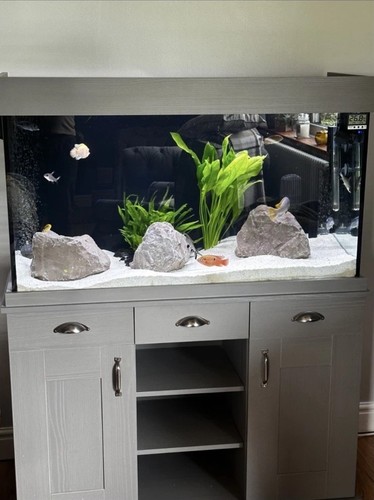 Fluval shaker 252 aquarium - 252,