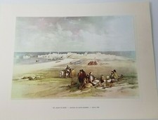 At Jean D'Acre Holy Land Lion