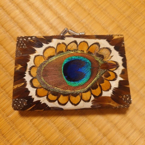 Peacock feather coin case - peacock,