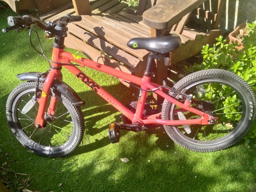 Frog child bike - frog,