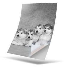 1 x Vinyl Sticker A5 - BW -