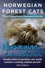 Norwegian Forest Cats and