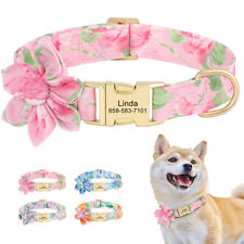 Fancy Girl Dog Collar w/