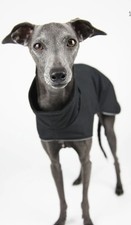 Jute And Sable Windsor Winter Coat. Italian Greyhound. Size XS. VGC. Black