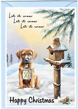 Rhodesian Ridgeback Dog