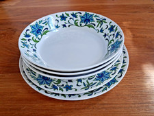 Midwinter Spanish Garden bowls