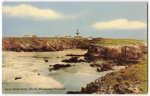 Porth newquay gull rock hotel - porth,