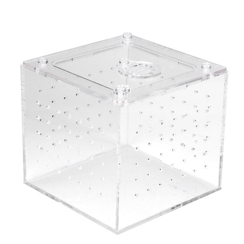 Tarantula enclosure - (10x10x9cm)tarantula,