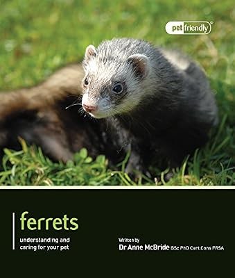 Ferrets pet friendly - ferrets, anne