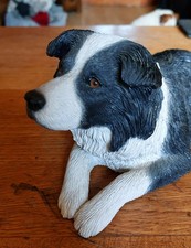 large Sandicast Border Collie