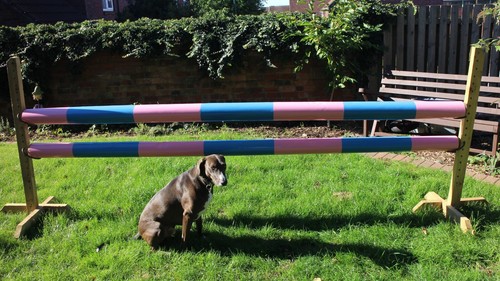 Equestrian horse jump pole - equestrian,