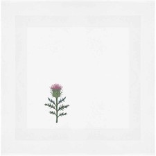 'Single Scottish Thistle'