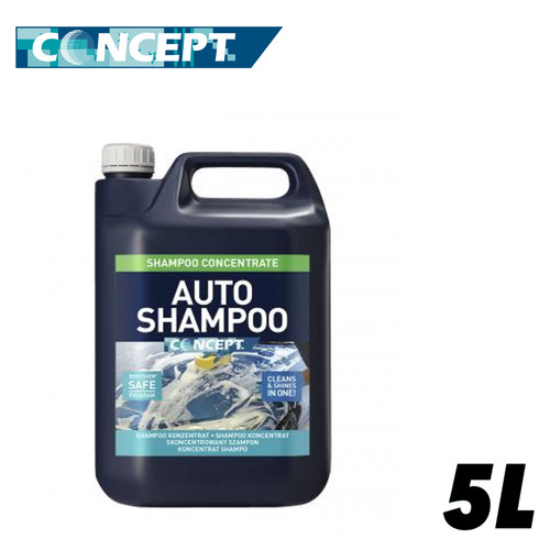 Concept auto shampoo - auto,