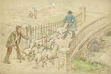 Walter Duncan (1848-1932) -